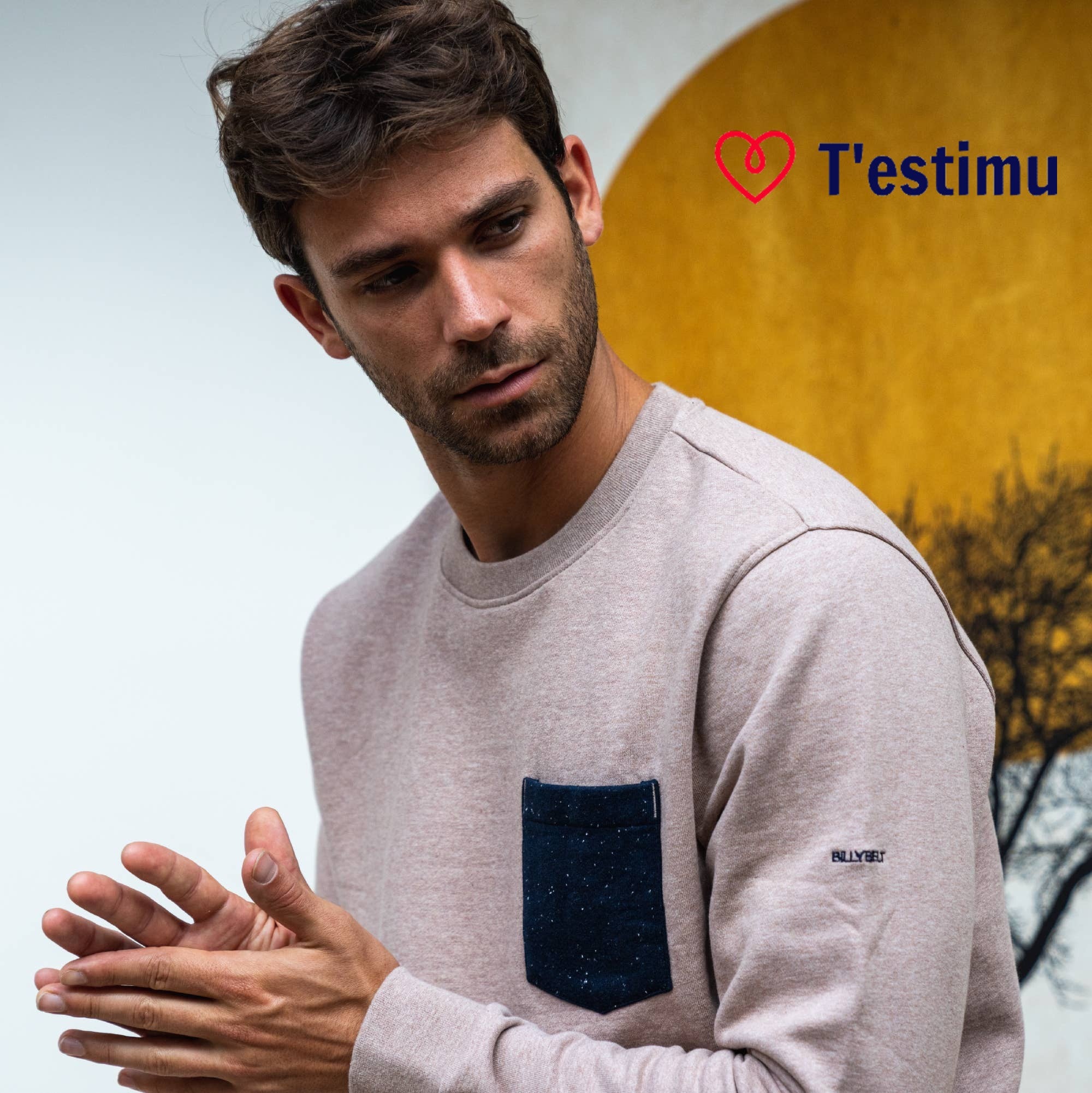 Men s Organic Cotton Sweatshirts Testimu